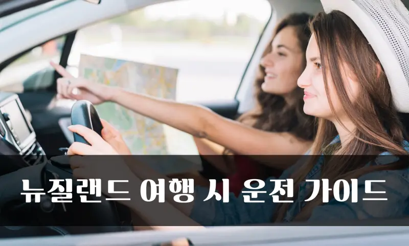 woman-driving-car-with-passenger_23-2147932090 복사.jpg